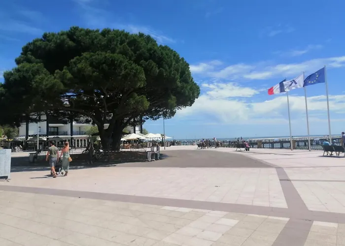 Le Magellan Appartement Terrasse 4 Personnes Plage Et Centre Ville