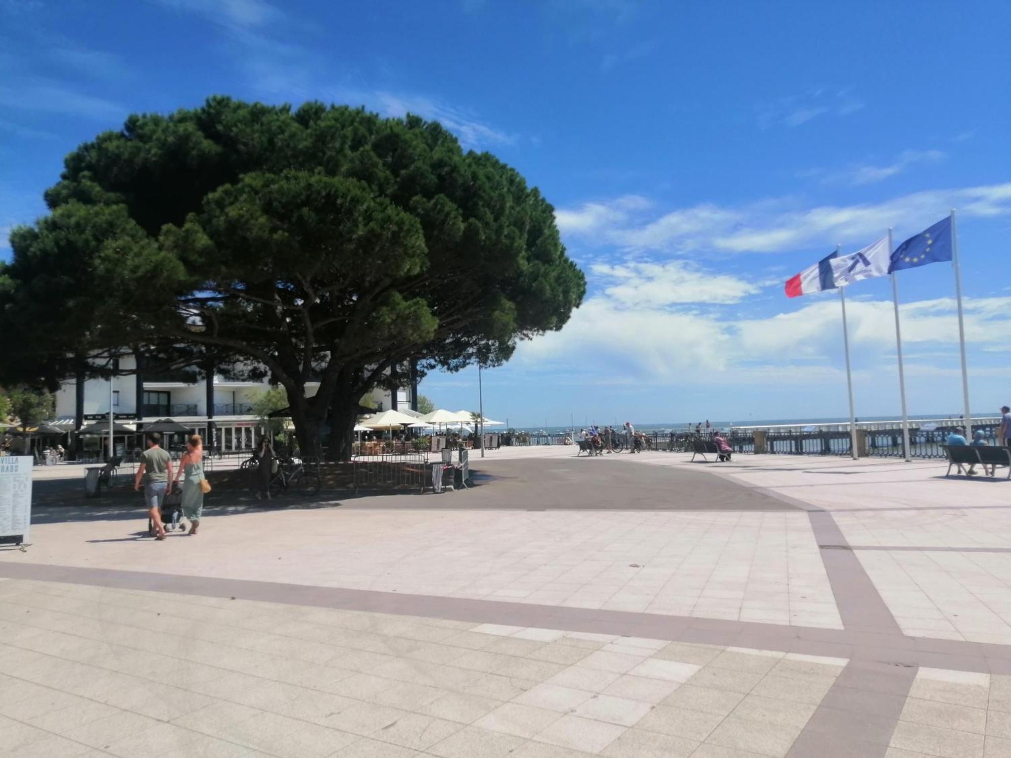Le Magellan Terrasse 4 Personnes Et Centre * Andernos-les-Bains